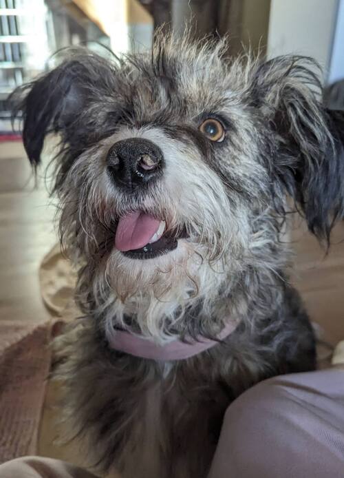 stella1.jpg